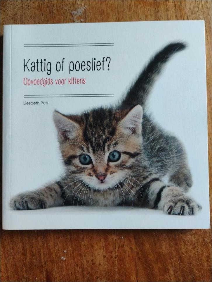 Kattig of poeslief? Opvoedgids voor kittens, Boeken, Dieren en Huisdieren, Zo goed als nieuw, Katten, Ophalen of Verzenden