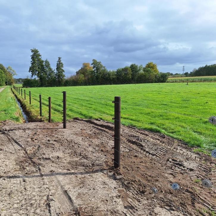 Wolfwerend raster, met subsidie, Dieren en Toebehoren, Stalling en Weidegang, Opfok, Stalling, Weidegang, Toebehoren, 4 paarden of pony's of meer