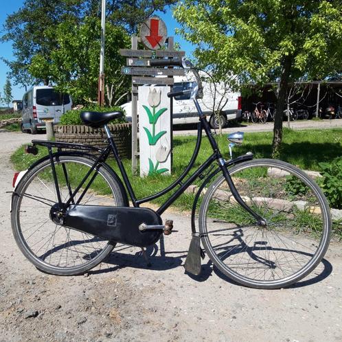 Gazelle Omafiets Populair 7 versnellingen, Breed Hoog Stuur, Fietsen en Brommers, Fietsen | Dames | Omafietsen, Gebruikt, 56 cm of meer