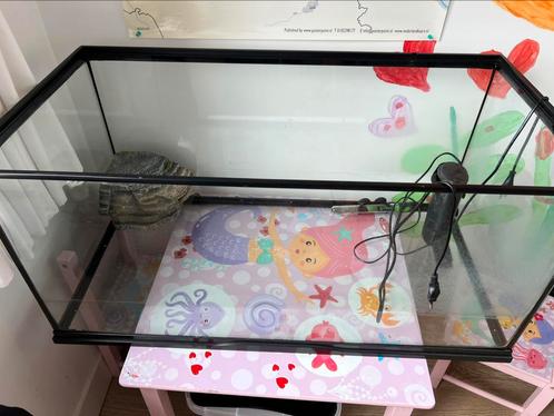 Aquarium voor waterschildpadden 91x45x42 cm, Dieren en Toebehoren, Vissen | Aquariumvissen, Overige typen