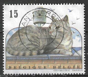 Belgie 1992 - Yvert/OBP 2523 - Europese katten (ST) beschikbaar voor biedingen