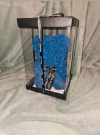 Rozenbeertje gemaakt van donker blauwe foam roosjes

24 cm, Ophalen of Verzenden, Nieuw, Stoffen beer, Overige merken