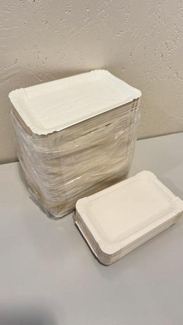 Schaal gevoerd karton 12x18cm beschikbaar voor biedingen