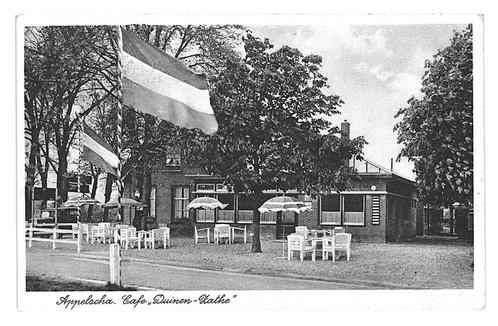 953311	Appelscha	Friesland	Cafë Duinen Zathe	Nette oude kaar, Verzamelen, Ansichtkaarten | Nederland, Ongelopen, Friesland, Ophalen of Verzenden