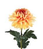 PTMD chrysant Orange 70 cm, Nieuw, Binnen, Ophalen of Verzenden