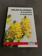 Wilde bloemen & planten in Nederland, Ophalen of Verzenden, Nieuw, Overige soorten