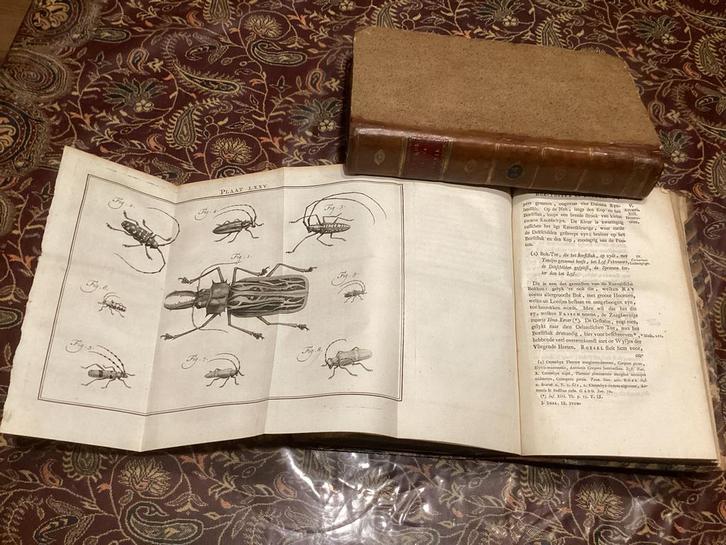 Natuur Linnaeus Natuurlijke Historie de Insekten, Antiek en Kunst, Antiek | Boeken en Bijbels, Ophalen of Verzenden