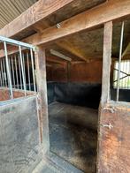 2 boxen vor klein paard en ABpony, Weidegang