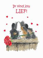 Valentijn kaarten met cavia of konijn erop NIEUW, Nieuw, Ophalen of Verzenden