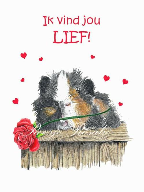 Valentijn kaarten met cavia of konijn erop NIEUW, Diversen, Wenskaarten, Nieuw, Ophalen of Verzenden