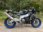 Aprilia Tuono RR 2009 org Nederlandse eerste eigenaar motor, Motoren, Motoren | Aprilia, 2 cilinders, Bedrijf, Meer dan 35 kW