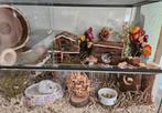 Hamsterhok met toebehoren, Zo goed als nieuw, 75 tot 110 cm, Ophalen, Minder dan 60 cm
