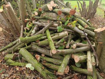 Haardhout ongekloofd beschikbaar voor biedingen