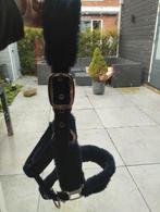 Blauw halster voor een pony, Ophalen