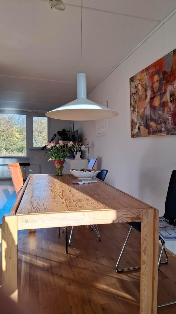 Mooie Hanglamp - Danisch Design, Huis en Inrichting, Lampen | Hanglampen, Zo goed als nieuw, Minder dan 50 cm, Kunststof, Metaal