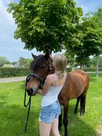Bijrijder gezocht omgeving Zwolle/Berkum, Dieren en Toebehoren, Paarden en Pony's | Verzorgingsproducten, Ophalen of Verzenden