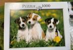 Puzzel 1000 stukjes, Honden, mist helaas 1 stukje, Ophalen of Verzenden, Zo goed als nieuw