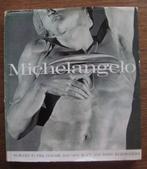 Michelangelo - Nicholas Wadley / Spring art book, Boeken, Gelezen, Ophalen of Verzenden