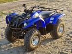 Yamaha Grizzly 125 Quad (2008) met Aluminium Sneeuwschuif, Motoren, Quads en Trikes, 11 kW of minder, 124 cc, 1 cilinder