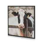 Schilderij 'Koe' van Coco Maison, Huis en Inrichting, Woonaccessoires | Schilderijen, Tekeningen en Foto's, Ophalen, Nieuw, Schilderij