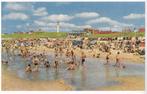 Hek, Youp van 't - Droomzomers (2008), Ophalen of Verzenden, Nieuw, Nederland