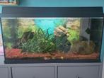 aquarium Juwel  Primo 110, Dieren en Toebehoren, Ophalen, Gebruikt, Gevuld zoetwateraquarium