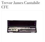 Trevor James Cantabile Dwarsfluit -  925 ge Zilveren Kopstuk, Muziek en Instrumenten, Ophalen of Verzenden, Zo goed als nieuw