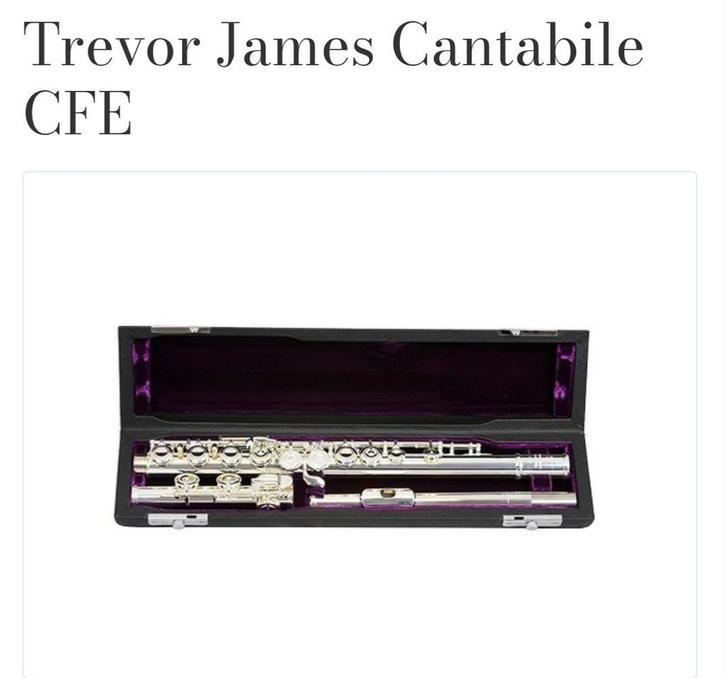 Trevor James Cantabile Dwarsfluit -  925 ge Zilveren Kopstuk, Muziek en Instrumenten, Blaasinstrumenten | Dwarsfluiten en Piccolo's