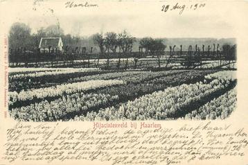 (388-155-045) Haarlem Hijacintenveld beschikbaar voor biedingen