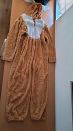 Konijnen pak Carnavals kleding, Ophalen of Verzenden, Zo goed als nieuw