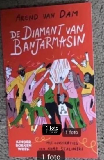 De diamant van Banjarmasin door Arend van Dam  beschikbaar voor biedingen