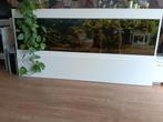 Aquarium 200cm bij 60 cm bij 60cm, Dieren en Toebehoren, Vissen | Aquaria en Toebehoren, Ophalen, Zo goed als nieuw, Gevuld zoetwateraquarium