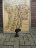 Schoolplaat/ AFFICHE HISTOIRE NATURELLE PERRIER & GERVAIS, Antiek en Kunst, Ophalen, Natuur en Biologie