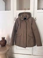 Airforce winterjas beige mt L, Airforce, Beige, Maat 42/44 (L), Ophalen of Verzenden