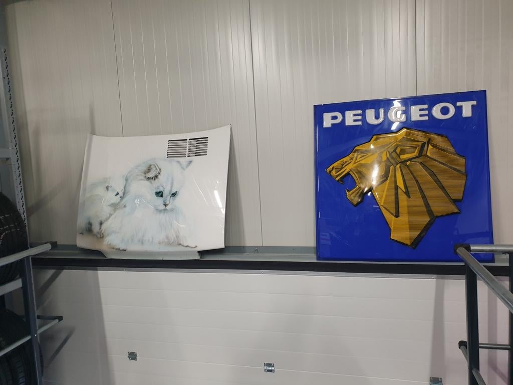 Car art Airbrush witte Pers katten op Renault 5 motorkap, Ophalen, Eu, Gebruikt, Eu