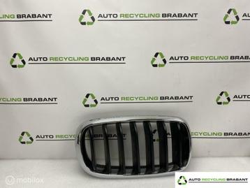 Grille RECHTS BMW X5 F15 ('13-'18) 7294486 beschikbaar voor biedingen