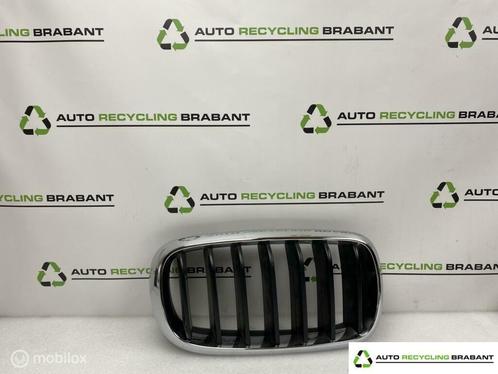 Grille RECHTS BMW X5 F15 ('13-'18) 7294486, Auto-onderdelen, Carrosserie en Plaatwerk, BMW, Gebruikt, Ophalen of Verzenden