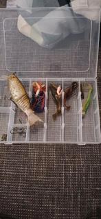 Vis aas set, Ophalen of Verzenden, Gebruikt, Overige typen