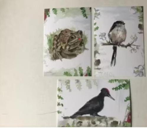 Bruine Kikker-Staartmees-Zwarte Specht 3 Ansichtkaarten, Verzamelen, Ansichtkaarten | Dieren, Ongelopen, Overige soorten, Verzenden