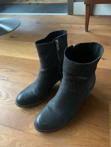 Shabbies (donkerblauw) beschikbaar voor biedingen