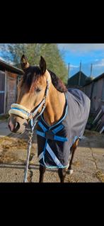 AMIGO HORSEWEAR 50 GRAM 5.9 DISKSLUITING, Dieren en Toebehoren, Ophalen of Verzenden, Zo goed als nieuw