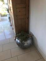 Grote PTMD Plantenbak/Decoratie/Paraplubak, Overige materialen, Gebruikt, Overige kleuren, Ophalen of Verzenden