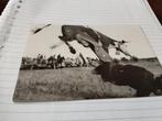 NAVAJO RODEO 1948  DETAILS ZIE FOTO'S., 1940 tot 1960, Ophalen of Verzenden