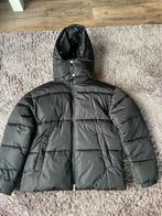 Winterjas, Kleding | Heren, Jassen | Winter, Maat 52/54 (L), Onbekend, Zwart, Nieuw