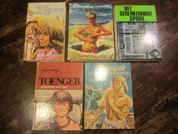 Johan Hidding Toengeb/spoor/oude landschap/Benden/Wildernis, Boeken, Kinderboeken | Jeugd | 10 tot 12 jaar, Gelezen, Ophalen of Verzenden