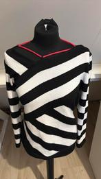 Luisa cerano aparte trui 42, Kleding | Dames, Ophalen of Verzenden, Zo goed als nieuw, Maat 42/44 (L)