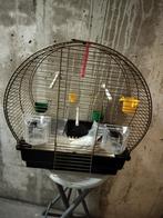 Bijna nieuwe Kooi Ferplast messing compleet, Ophalen, Zo goed als nieuw, Vogelkooi