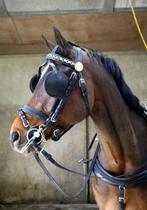 Super mooi mentuig, Ophalen of Verzenden, Zo goed als nieuw, Overige soorten