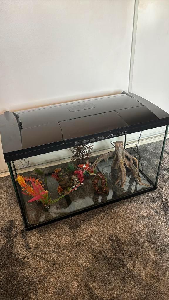Superfish aquarium 100L + allerlei accessoires, Dieren en Toebehoren, Vissen | Aquaria en Toebehoren, Zo goed als nieuw, Leeg aquarium