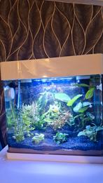 Superfish Pannorama 35 led, Dieren en Toebehoren, Ophalen, Zo goed als nieuw, Leeg aquarium